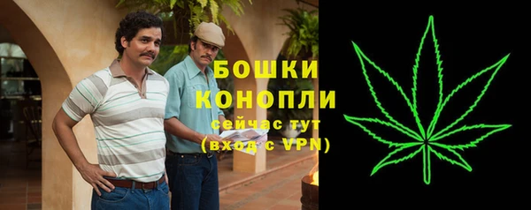 mdpv Няндома