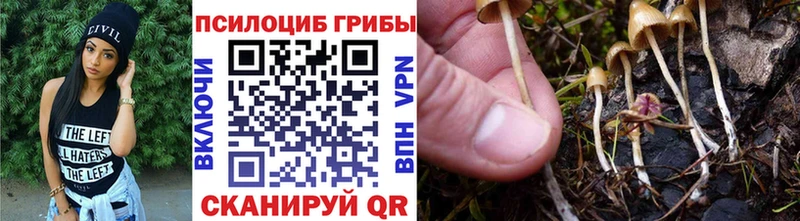 Псилоцибиновые грибы прущие грибы  Кола 