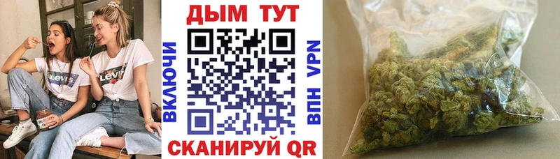 Бошки марихуана гибрид  Кола 